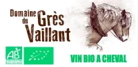 Gres vaillant